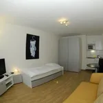 Rent 1 bedroom apartment of 30 m² in Zürich