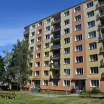 Rent 4 bedroom apartment of 78 m² in plzen