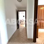 Rent 2 bedroom apartment of 55 m² in Velletri