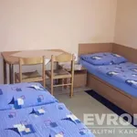 Rent 1 bedroom apartment of 20 m² in Hradec Králové