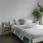 Rent 1 bedroom apartment in Hasselt