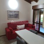 Rent 2 bedroom apartment of 50 m² in Reggio nell'Emilia