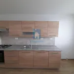 Rent 3 bedroom apartment in Praha 4