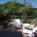 Rent 7 bedroom house of 195 m² in Forio