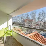 Rent 2 bedroom apartment in Lisbon