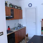 Rent 2 bedroom apartment of 100 m² in Padova