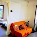 Rent 1 bedroom apartment of 38 m² in Castelnuovo Berardenga