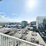 Rent 2 bedroom apartment in Auckland