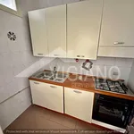 Rent 2 bedroom apartment of 60 m² in Foggia