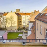 Rent 3 bedroom apartment of 90 m² in Berlin