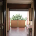 4-room flat via Pallanza 21, Borsano, Busto Arsizio