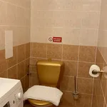 Studio o rozloze 25 m² v prague