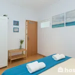 Rent 1 bedroom apartment of 50 m² in Porto