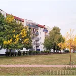 Rent 2 bedroom apartment of 38 m² in Poznan