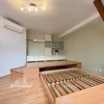 Rent 1 bedroom apartment of 48 m² in Pilsen