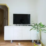 Rent 3 bedroom apartment in Madrid