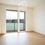 Rent 2 bedroom apartment in Pilsen