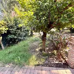 Rent 3 bedroom house of 100 m² in Piacenza