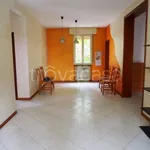 Rent 1 bedroom apartment of 80 m² in Modena