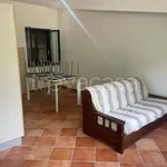 Rent 3 bedroom apartment of 80 m² in Joppolo