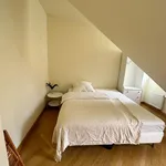 Rent 4 bedroom apartment of 100 m² in München