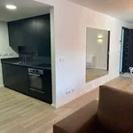 Rent 2 bedroom apartment of 65 m² in lisbon