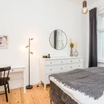 Rent 2 bedroom apartment of 56 m² in Berlin