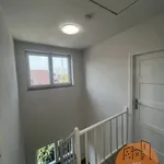 Rent 3 bedroom house in Beersel