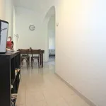 Rent 1 bedroom apartment of 58 m² in rome