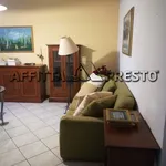 Rent 4 bedroom apartment of 80 m² in Forlì