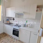 Rent 4 bedroom apartment of 90 m² in Bologna