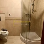 Rent 2 bedroom apartment of 48 m² in Poznan