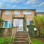 Rent 4 bedroom flat in Colchester