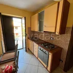 Rent 2 bedroom apartment of 45 m² in Cassino