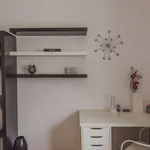 Rent 1 bedroom apartment in porto