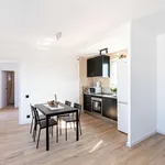 Rent 1 bedroom apartment in barcelona