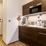 Rent 1 bedroom apartment of 30 m² in Prague