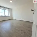 Rent 1 bedroom house of 112 m² in Tuhaň