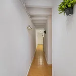 Alquilar 3 dormitorio apartamento en Barcelona