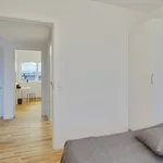 Rent 4 bedroom apartment of 116 m² in Aalborg