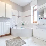 Rent 9 bedroom house of 600 m² in Zagreb