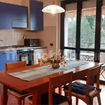 Rent 3 bedroom apartment of 75 m² in Perugia