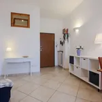 Rent 1 bedroom apartment of 52 m² in Florence