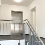 Miete 2 Schlafzimmer wohnung von 56 m² in Würselen