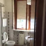 Rent 1 bedroom apartment of 42 m² in Verona