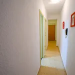 Rent 5 bedroom apartment in Valencia