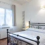 Rent 1 bedroom apartment of 45 m² in rome