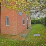 Rent 1 bedroom house in East Of England