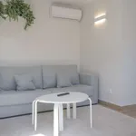 Rent 1 bedroom apartment in madrid