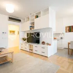 Rent 1 bedroom apartment in City of Zagreb